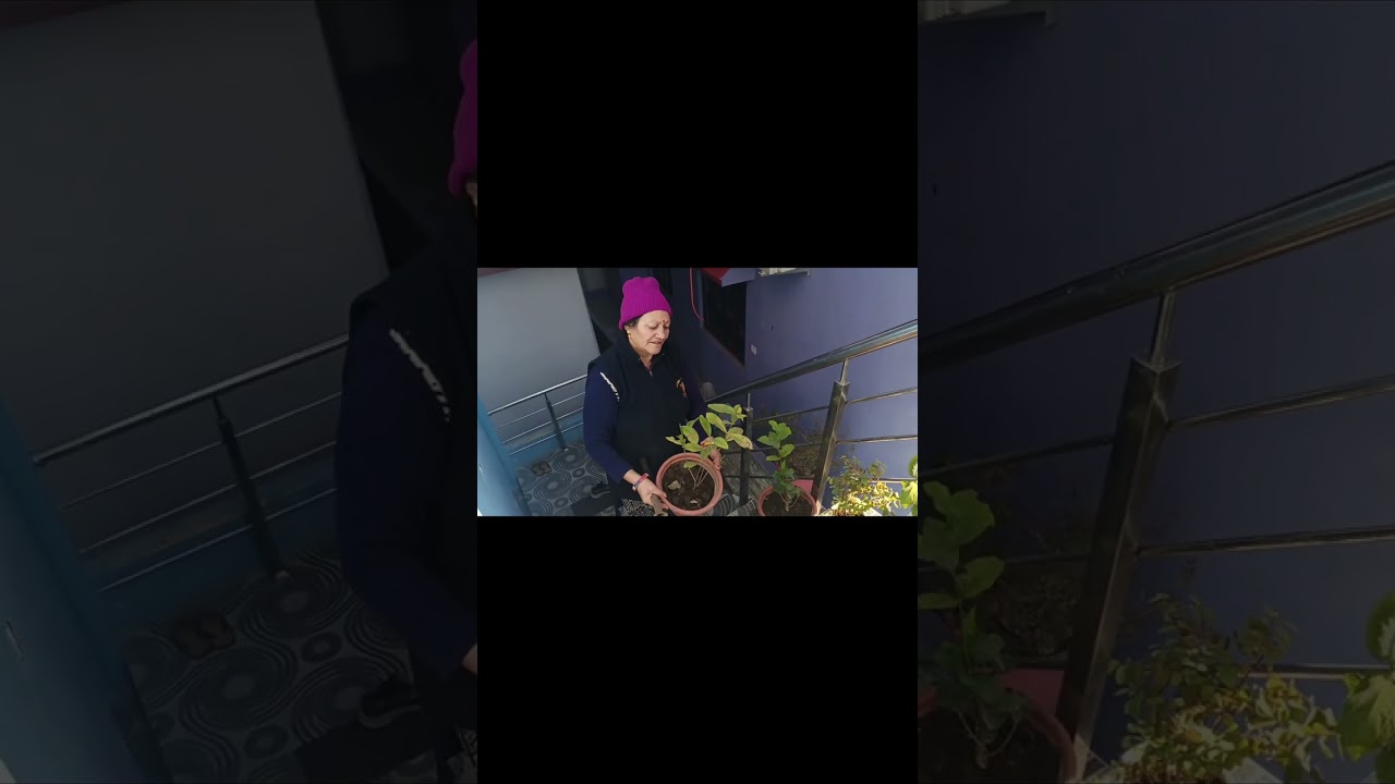 प्रधान जी से विनती है मेरी! 