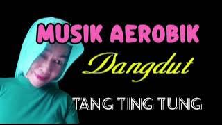 Musik Aerobik Dangdut bikin goyang makin asik#musiksenam