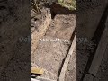 Let’s Work Together (Remastered)