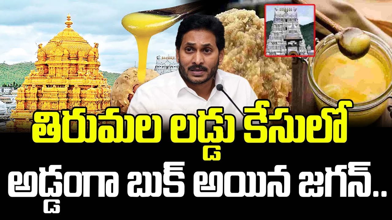 తిరుమల లడ్డు కేసులో అడ్డంగా బుక్ అయిన జగన్.. | Tirumala Laddu case Latest News | Jagan
