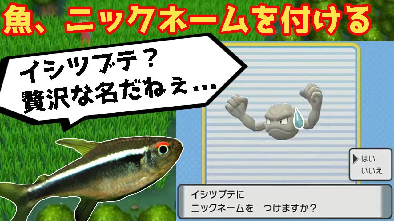 奇跡】魚、視聴者も困惑するニックネームを付けてしまう - YouTube