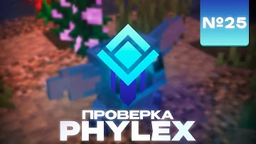 ПРОВЕРКА ХОСТИНГА phylex.net - Все идеально, но... - №25