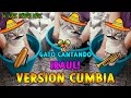 Gato Cantando Raúl ¡VERSION CUMBIA! | By Sonic Piñotas Music