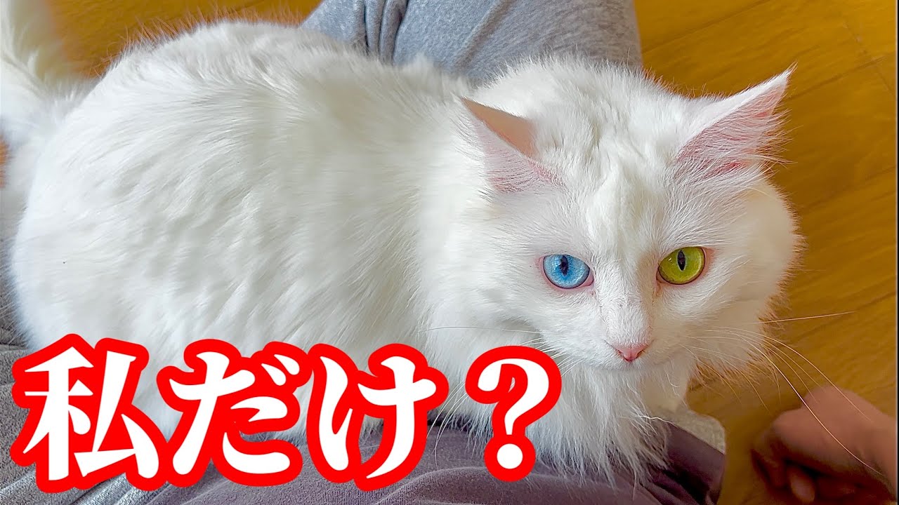 そう思うのは私だけ?