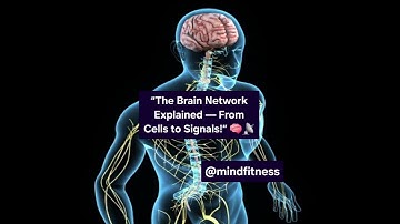 “The Brain Network Explained — From Cells to Signals!” 🧠📡  #habitsforlife #neuroscience 
