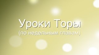 Недельная глава: Трума. У каждого есть доля в Торе