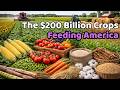 The $200 Billion Crops Feeding America and the World