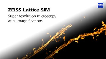 ZEISS Lattice SIM | Super-resolution microscopy accessible to all