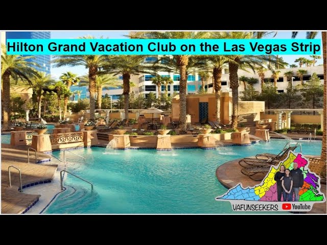 Hilton Grand Vacations at the Flamingo - The Flamingo Pool near