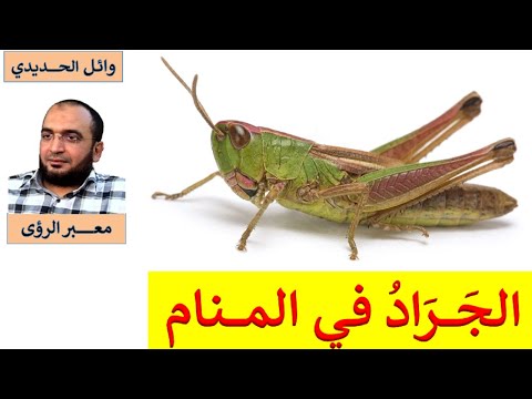 تفسير حلم الجراد في المنام بالتفصيل