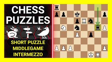 Chess Puzzles to Practice. Themes: Short puzzle, Middlegame, Intermezzo. Learn Chess