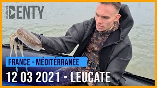 Chasse sous-marine avec Théo et Kevin aux seiches à Leucate