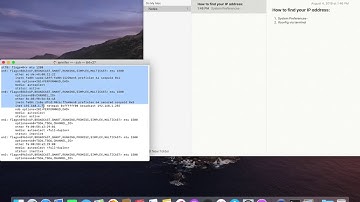 Find your IP address on macOS - 2019
