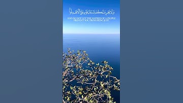 سورة المائدة الآية 8