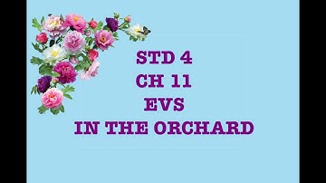 STD 4 EVS IN THE ORCHARD GSEB