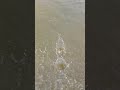 jbl speaker drop the high jump by river in #shortvideo