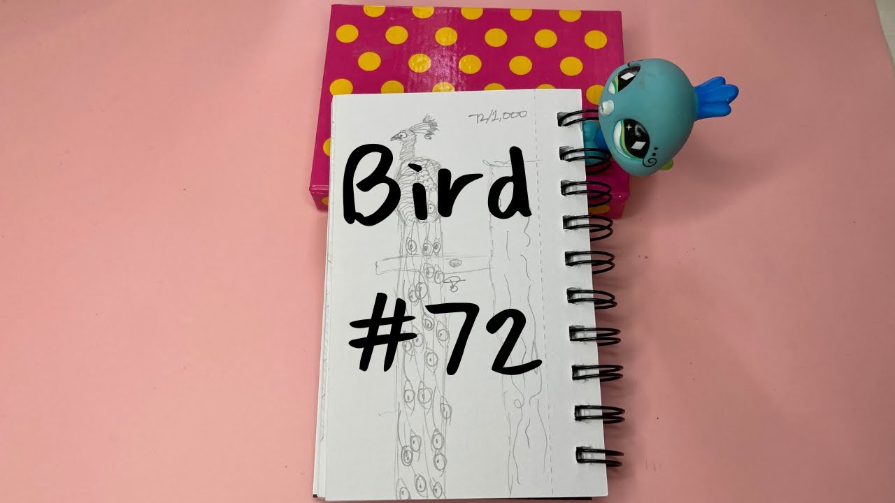 Draw 1,000 Birds With Me Peacock Part 2 of 10 - YouTube