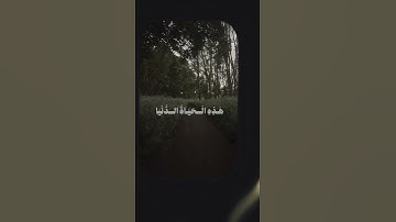 المنشاوي❤️ سورة غافر #الحمدلله #المصحف #الحمدلله_دائماً_وابداً #راحة_نفسية