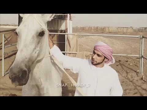 خالد عبدالرحمن مثل العسل عادي وبطي