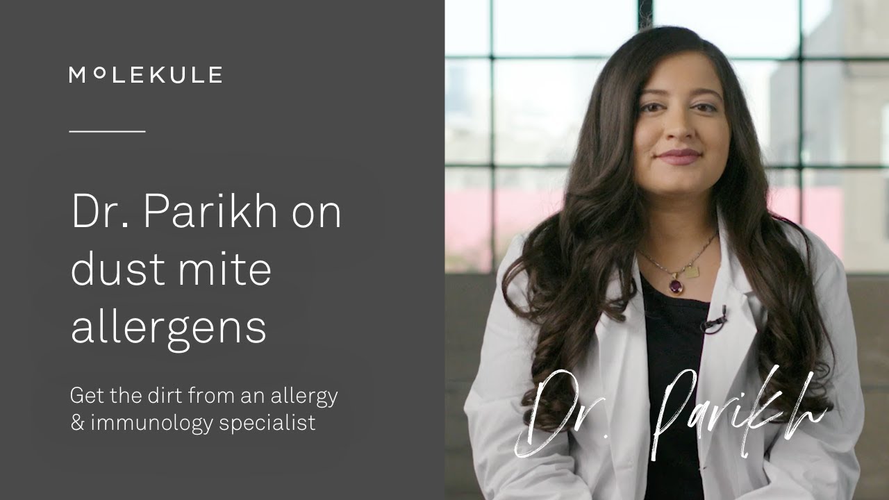 Allergy & immunology specialist Dr. Parikh explains dust mites 101