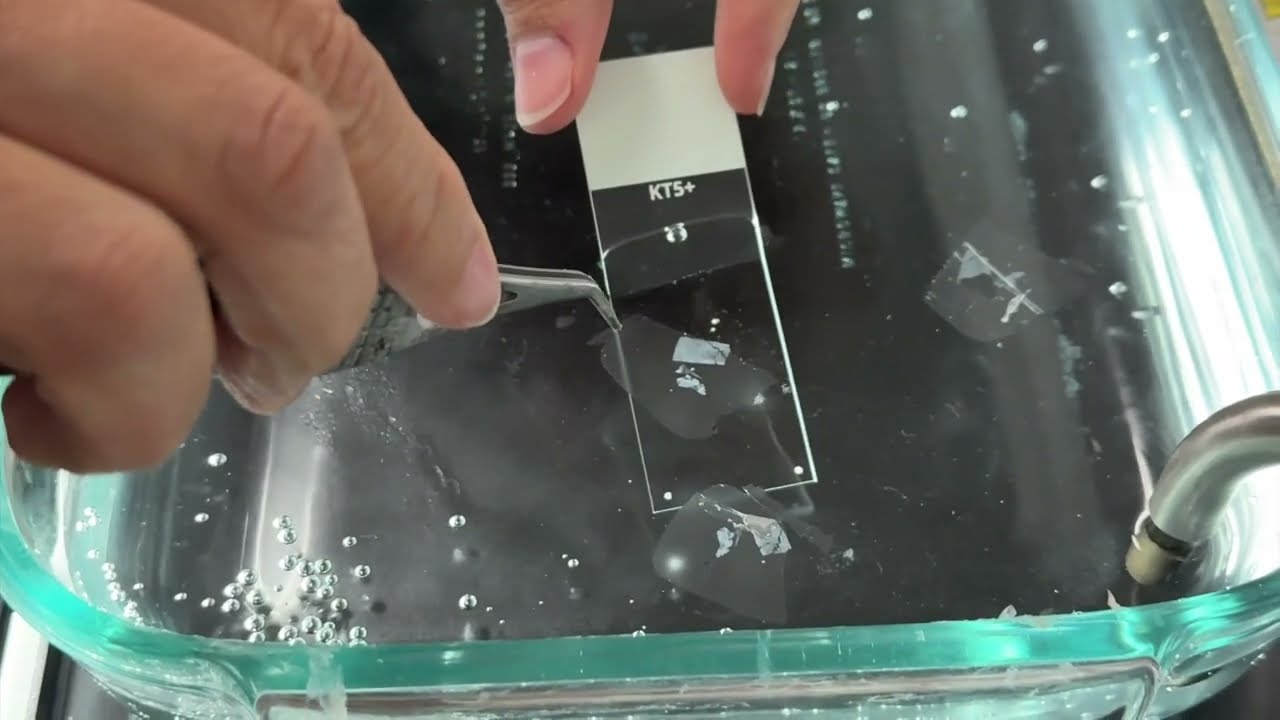 Waterbath Tips for Hydrophobic and Hydrophilic Slides