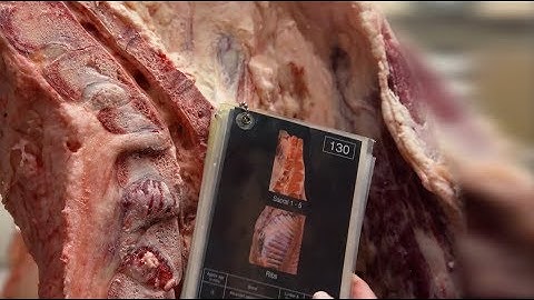 MyMSA Series FAQ: Ossification