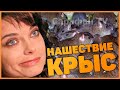 ДОМ НАТАШИ КОРОЛЕВОЙ АТАКОВАЛИ СОТНИ КРЫС