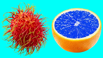 Hidden Patterns Inside Fruits, Vegetables stop-motion Animation