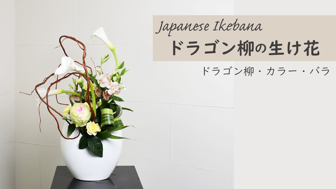 【ドラゴン柳の生け花】 初心者でもコツが分かればとっても簡単！ 生け方の基本からアレンジまでサクッと紹介。Japanese ikebana lesson for beginners