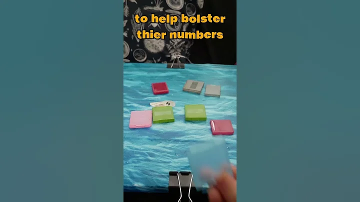 Useless Nintendo DS Game Cases