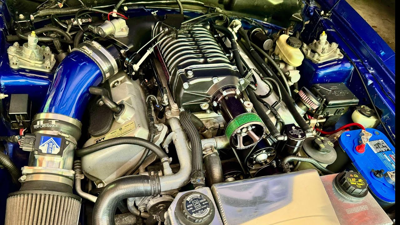 Terminator Field Engine Steam Cleaned My Terminator Engine Bay + Some Updates - YouTube