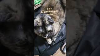 меньше слов, больше дела