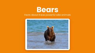 Bears.  A Reader all about them.