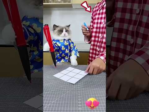 The owner is playing games #shorts