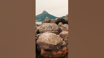 تلاوة جميلة مريحة خاشعة للشيخ خالد الجليل #خالد_الجليل #قرآن #القرآن_الكريم #القران #quran
