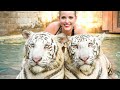 Swimming with TWO GIANT TIGERS!