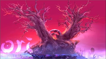 Unused Shriek Boss Arena | Ori and the will of the Wisps #cutcontent