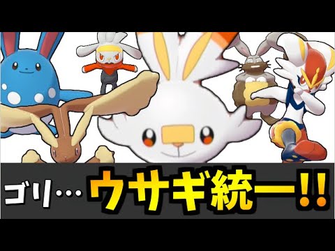 ポケモン剣盾 火力がゴリラ級のウサギちゃん統一パーティでたわむれる Youtube