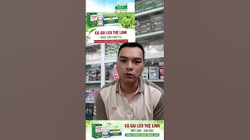 Giải độc gan tuệ linh # cà gai leo# viêm gan b # xơ gan# bia rượu # tuệ linh chính hãng .