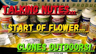 Start of Flower, Talking Nutes, Transplanting Clones and much more.