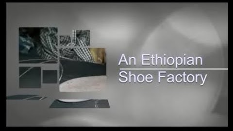 Speakout 2ndE - Pre-Intermediate - DVD Unit 8: soleRebels