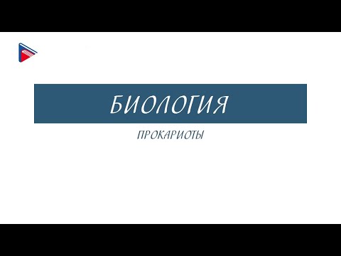 6 класс - Биология - Прокариоты