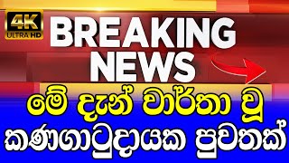 HIRU NEWS  | BREAKING NEWS | hiru news today 11 55 headline news sri lanka today | Derana News