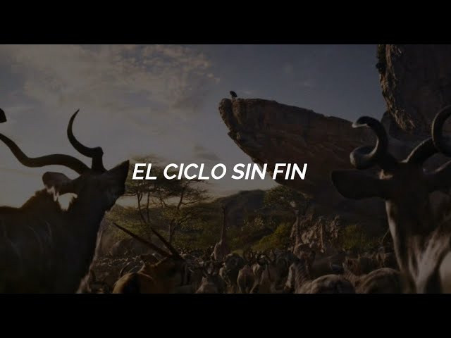 Ciclo Sin Fin - Sofia Carson; Letra (De: El Rey León 2019) Acordes
