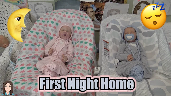 Reborn Baby Twins Raelynn & Ryan's First Night Hom...