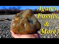 Agates, Ammonites, &amp; So Much More! Fantastic Variety Rockhounding the Yellowstone River!