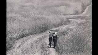 Hazlett - Mama’s Boy