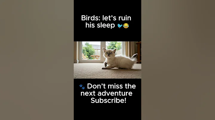 Video 10393621: curious kitty, adorable kitten, cute kitten