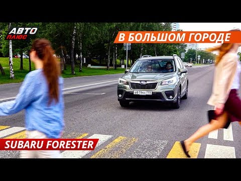 Блогеры тестируют Subaru Forester на пригодность в большом городе | Своими глазами