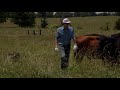 Growing The Future of Tennessee Agriculture
